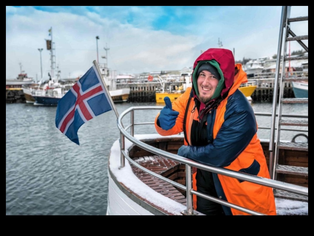 how can a foreigner get a job in iceland