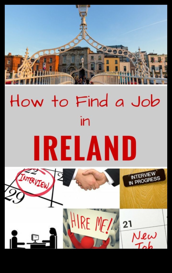 How to Land a Job in Ireland as a Foreigner 1